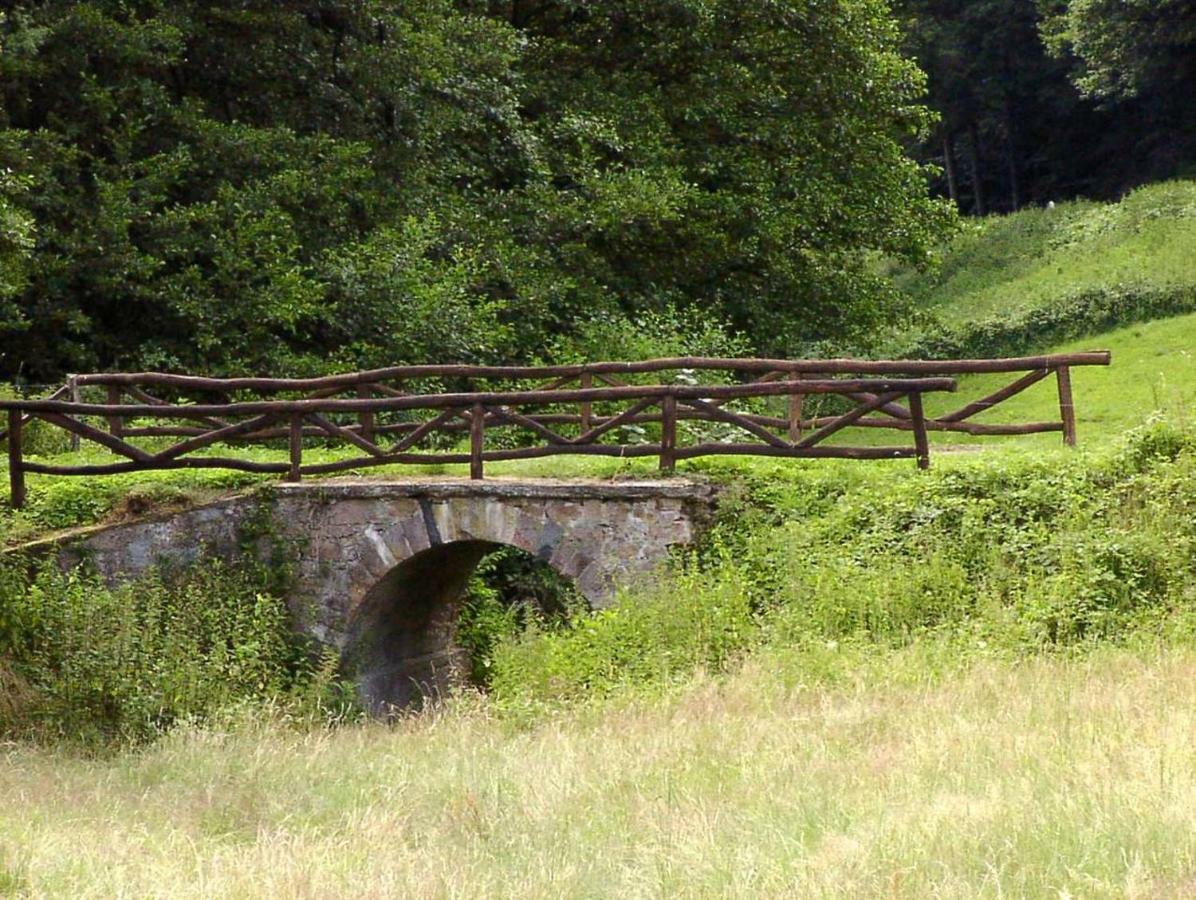 Waldblick Appartement Ober-Hambach Bagian luar foto