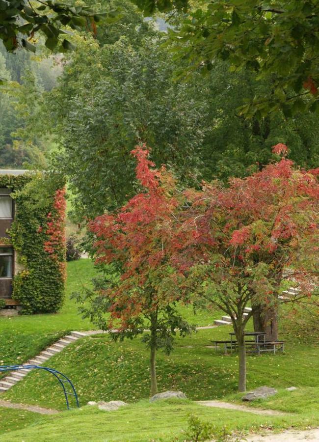 Waldblick Appartement Ober-Hambach Bagian luar foto