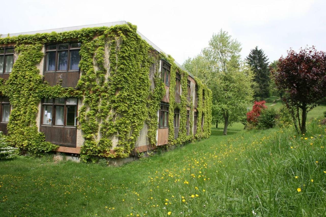 Waldblick Appartement Ober-Hambach Bagian luar foto